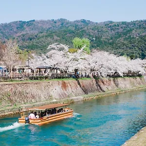 Sakura Fuga Japonia