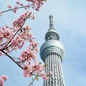 Nihonbashi Muromachi Bay 2*, Tóquio Japão